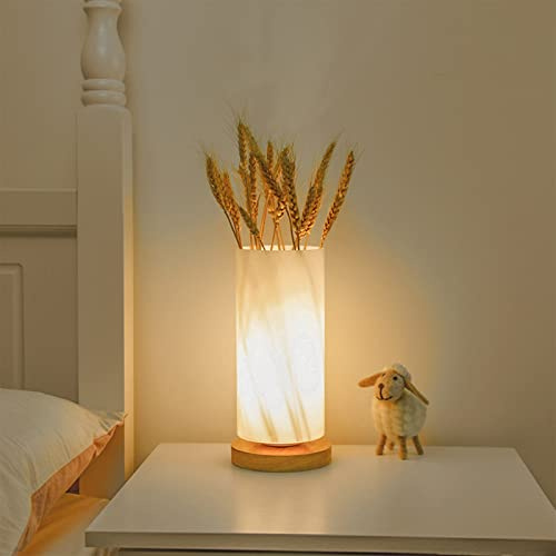 GOUTOOL Flower Table Lamp, USB Rechargeable Flower Vase Lamp, Touch Dimming Night Light, LED Frosted Glass Shade Bedside Lamp for Bedroom Living Room Home Decor (Cylinder)