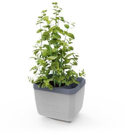 GUSTA GARDEN Herbs Buddy - Selbstbewässerungstopf & Kräutertopf für Küche & Fensterbank, Ideal für Basilikum, Wassertank, Wasserstandsanzeige