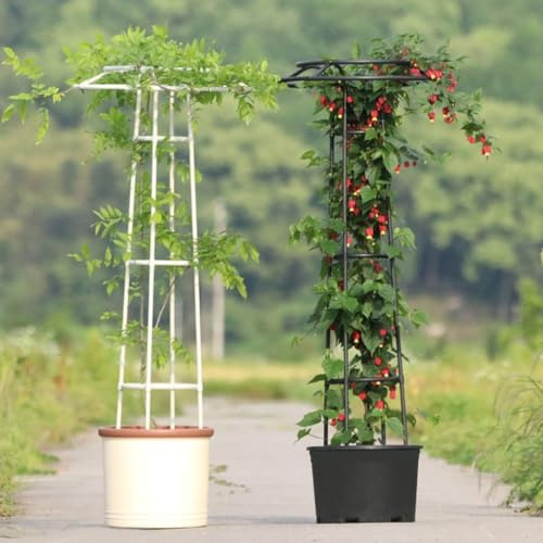 Rankhilfe für Kletterpflanzen, Metall, für drinnen und draußen, für Gemüse und Obst, 145 cm Höhe, Schwarz