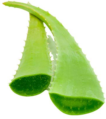 Vonderweid - Foglie di Aloe Vera da Coltivazione Italiana a Cielo Aperto in Sicilia (2 KG)