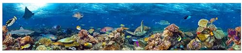 wandmotiv24 Fototapete panorama Unterwasser Welt, selbstklebendes Vlies 150g - Mittel (250x50cm) Meer, Ozean, Fische, Wasser, Rochen, Hai, Korallen, Riff, Schildkröte M0039