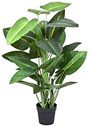 GreenBrokers Künstliche Calla-Lilien-Zimmerpflanze im Topf, lebensecht, fühlt Sich echt an, wartungsfrei, perfekt für Innendekoration (120 cm)