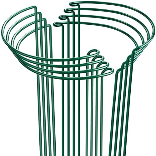 HiGift 8 Pack Plant Support Stakes, Half Round Metal Garden Plant Stake Indoor Peony Cages and Supports, Green Plant Support Ring Border for Tomato,Hydrangea,Flower Outdoor (10 Wide x 15.8 High)