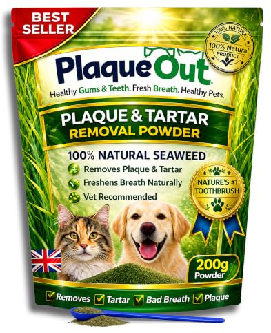 PLAQUE OUT 200 g Beutel – Plaque Off Remover – 100% natürliches Algenpulver für Hunde & Katzen – Hundezahnreinigung, Plaque-Entfernung, Haustierzahnpflege, Mundgeruch, Zahnfleischpflege und