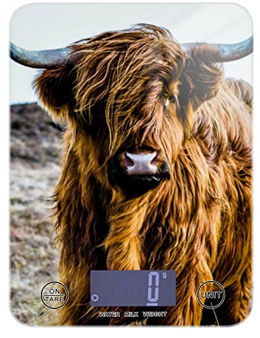 Poeticcity Earth-Yellow Scottish Highland Cow Vintage Style Tempered Glass Kitchen Scales, Digital Weight Grams and Oz Food Scales for Cooking Baking Meal Prep Home Weight Loss Health Diet
