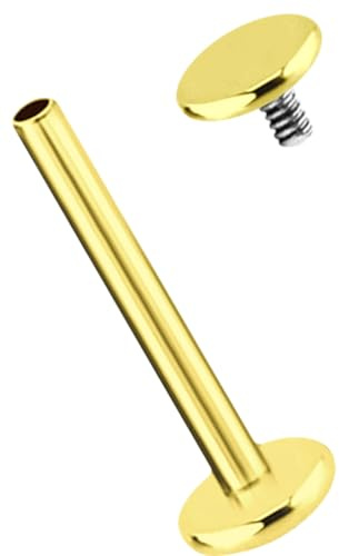 Ohr Piercing Labret Stecker in 1,2 mit Innengewinde und Platte aus Titan