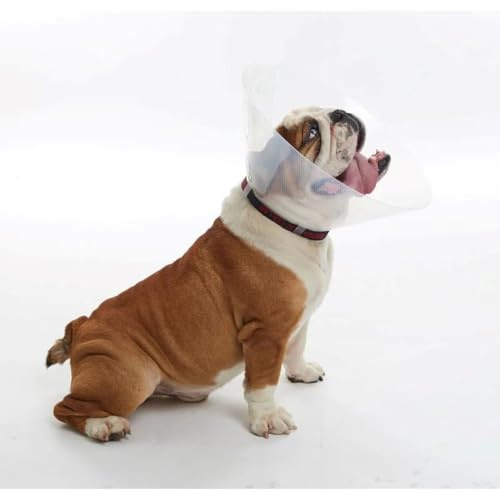Buster Collare per Cani Brachycephalic Grande