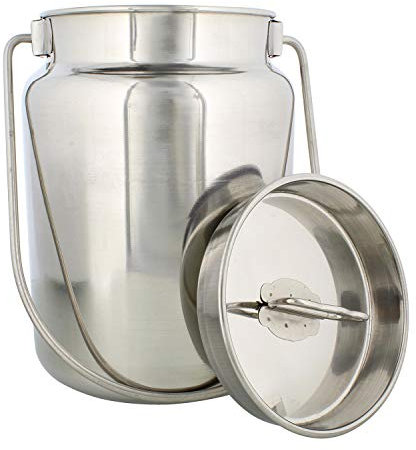 Rural365 Jarra de leche de metal – Jarra de acero inoxidable, latas de leche rústicas con tapa, jarrón de leche de moda antigua
