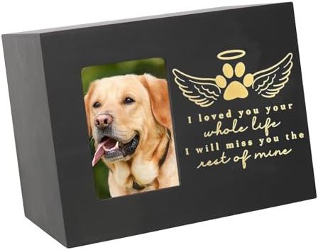 YPREWY Caja de cenizas de cremación para mascotas con marco de fotos, urnas de resinas para guardar cenizas y fotos, recuerdos de dormitorio