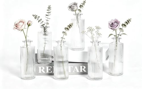 Sawoake Kleine Vasen, 6 Stück Glasvasen für Tischdeko Mini Vasen Glasfläschchen für Zuhause, Hochzeiten, Geburtstage, Feste (Transparent Vertical)