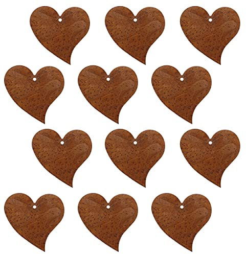 Rostikal Set di 10 cm, decorazione da giardino, decorazione per finestre di San Valentino, 12, 10 cm