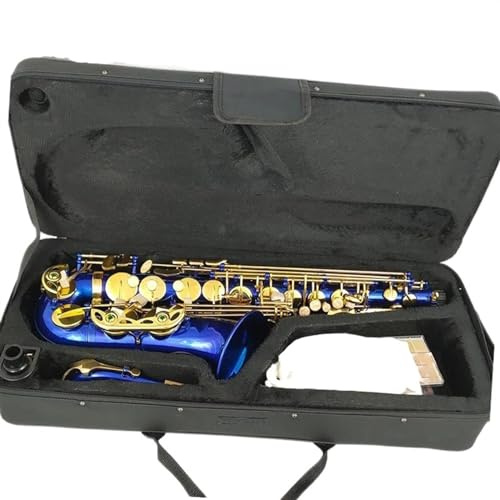 Schüler-Saxophon Altsaxophon, Blau, Eb, Gold, Tasten, Mit, Koffer, Musik, Instrument