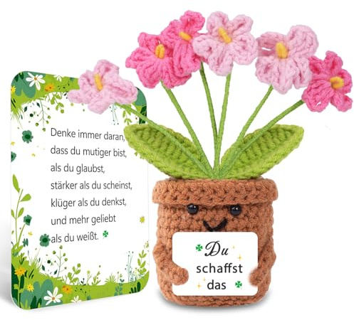 BOAITE Gestrickte Vergissmeinnicht-Glücksbringer Du Schaffst Das Mutmacher Glücksbringer Prüfung Geschenk, Personalisiert Schutzengel Schulanfang Inhalt Schultüte Füllung, Geschenke zur Einschulung