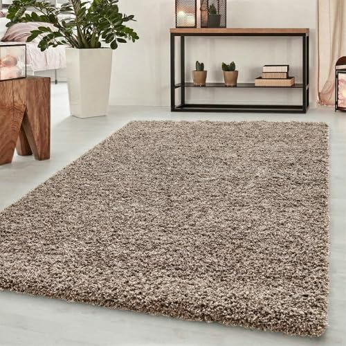 Abaseen Small Large Shaggy Rug Modern Rugs Living Room Extra Large Small Medium Rectangular Size Soft Touch Thick Pile Living Room Area Rugs Non Shedding (Light Beige, 60x110 cm)