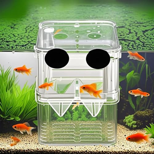 FGXY Contenitore Per Allevamento Pesci Per Acquario, Incubatore Galleggiante In Plastica, Serbatoio Di Pesce Allevamento Scatola, Con Ventose, Per Gamberetti, Pesci Pagliaccio,Aggressivi Feriti