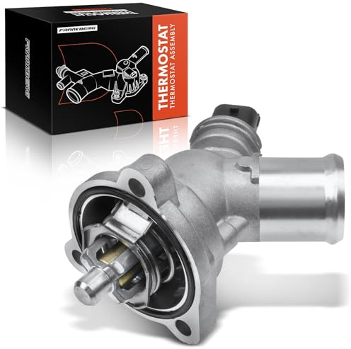 Frankberg Termostato con alloggiamento 25192923 | Compatibile con: Spark M300