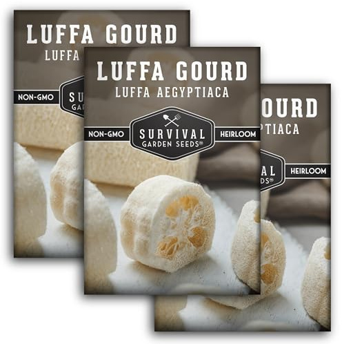Survival Garden Seeds - Luffa or Loofah Seed for Planting - 3 Packets with Instructions to Plant and Grow Ornamental Gourds in Your Home Vegetable Garden - Non-GMO Heirloom Variety