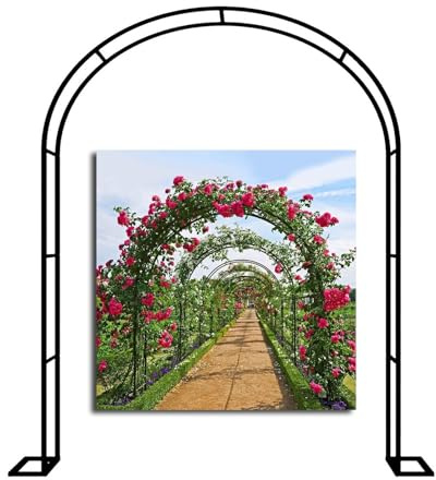 Arche de jardin en métal robuste pour mariage et roses - Résistante aux intempéries et antirouille - Utilisation en intérieur/extérieur - Noir - 300 x 220 cm - Élégante décoration d'arche