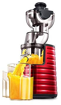 Juicer Machines Slow Masticating Juicer Extractor Cold Press Juicer Easy to Clean Brush Quiet Motor for Vegetables Fruits 3.15inch Wide Chute 1L