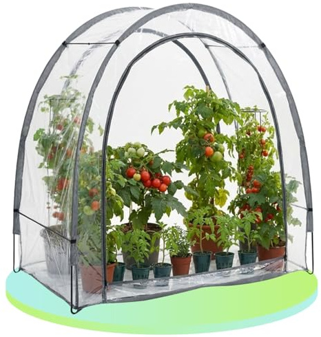 Ideoon 2er-Set Robustes Foliengewächshaus und Überwinterungszelt, 175x186x84 cm: EIN Pflanzenschutz für optimale Ernte & frostfreie Pflege (Modell 2026)