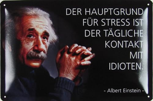 Metall Schild 20x30cm Der Hauptgrund für Stress Einstein Blechschild