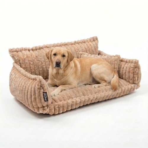noviclass® Hundesofa Chaffar Hundebett | Orthopädische Matratze | Moderner Stil | Cord-Design Größen (Kamel, XXL (140cm))