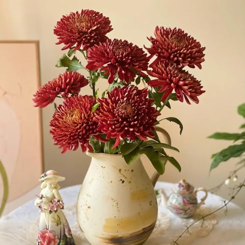 Semillas de crisantemo - regalos para los amantes del jardín de crisantemo - para lugares soleados regalos sostenibles, decoración salón 80pcs