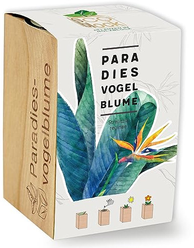 Feel Green ecoblock - Fiore di Uccello del Paradiso, Idea Regalo sostenibile (100% Eco Friendly), Grow Your Own/Set per la Coltivazione di Piante in Blocco di Legno, Prodotto in Austria
