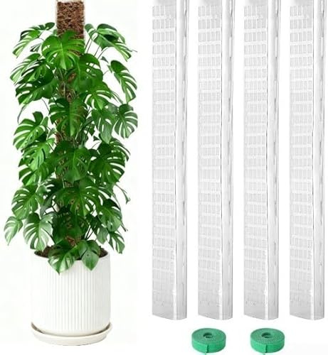 D-förmige Kunststoff-Moosstütze, 61 cm, für Indoor-Kletterer wie Rhaphidophora Tetrasperma und Monstera Peru, 4 Stück