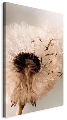murando - Akustikbild Schalldämmung Pusteblume, Schallschutz, Wohnzimmer | Verbessert Raumakustik, reduziert Hall, ideal fürs Büro oder Wohnzimmer, hochwertige Verarbeitung, schnelle Montage, stilvoll