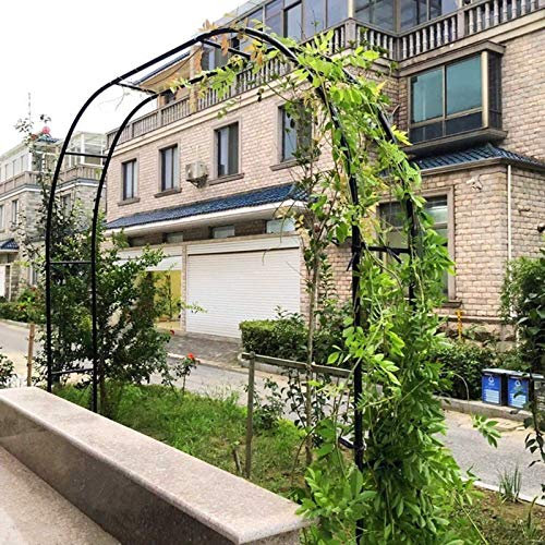 GLFNB Gartenbogen 1,2 x 2,2 m, 3,5 x 2,2 m, robuster Gartenbogen, Rosenbögen aus Metall, Spalier für Pergolen und Laubengänge für Hochzeiten, Rohrdurchmesser: 19 mm, Farbe: Schwarz, Weiß, Grün, Ei