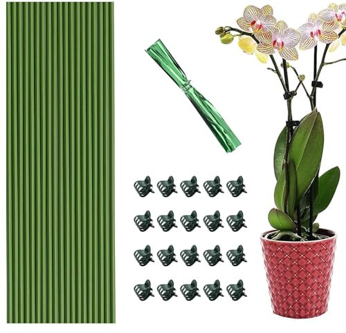 20Pcs Plant Stakes, Bendable Plant Sticks, Orchid Support Stakes with Clips, Garden Single Stem Plant Support Stakes for Indoor Plants, Potted Plants, Flowers Orchid Amaryllis,Plant Support Clips Set