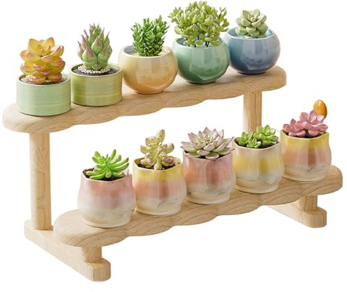 DECORN Small Plant Stand Shelf, Wood Long Desktop Flower Pot Holder Racks for for Succulents, Herbs, Air Plants, Countertop Organizer Display Stand Shelves,2 Tier 25.5cm/10 L