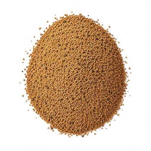 Semi di Erba Medica Alfalfa 500gr | Germogli di Medicago Sativa Pronta da Seminare | Ideale per Seminare Terreni, Aiuole, Prati, Giardini e Terrazzi