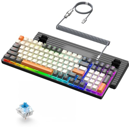 ZIYOU LANG K3 PRO - Tastiera meccanica da gioco cablata RGB, switch blu, 100 tasti con tastierino numerico, 8000 Hz, cavo USB avvolto (tipo C a USB-A) per PC/Mac, grigio scuro