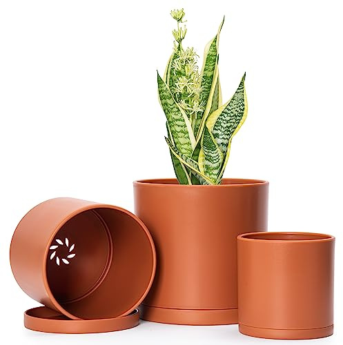 D'vine Dev Lot de 3 Petits Pots de Fleurs cylindriques en Plastique avec Trou de Drainage et soucoupes sans Couture Couleur Terre Cuite 10,2 cm, 12,7 cm, 15,2 cm