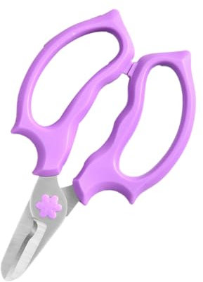 BESPORTBLE 1pièce Sécateur De Jardin Multifonction Acier Inoxydable Pour Élagage De Fleurs Et Arbres Fruitiers Outil Ergonomique De Jardinage Pratique Et Durable