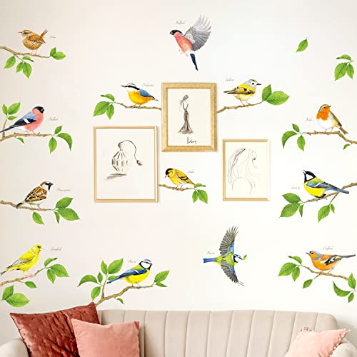 DECOWALL DS6-8061 Vögel Wandtattoo set Wandaufkleber Kolibriwandaufkleber für Schlafzimmer Wohnzimmer Kinderzimmer Flur Küche Fenster Deko Wanddeko