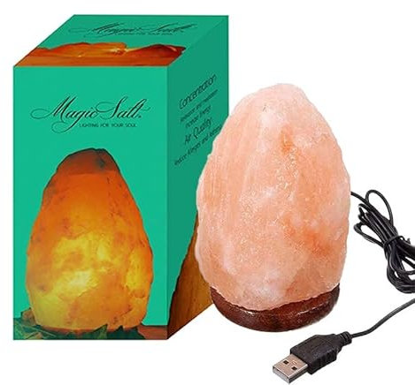 Lampe USB Sel de l'Himalaya - Rose - Lampe de Bureau avec Socle en Bois et LED Multicolore