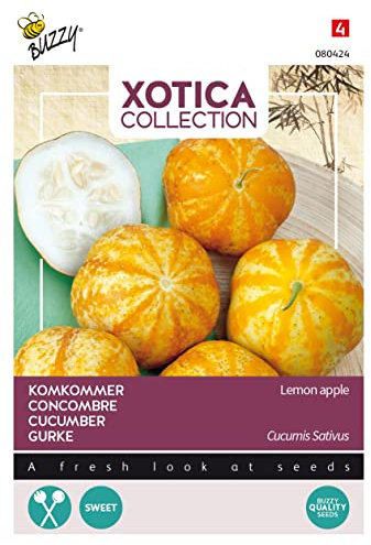 Buzzy Xotica Concombre à salade Citron