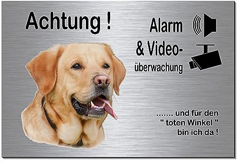 Labrador blond-Alarm + Videoüberwachung-Hund-Schild-Hundeschild-300 x 200 x 3 mm-Aluminium Edelstahloptik-Hunde-Tierschild-Warnschild-Hinweisschild (133-44 ohne Löcher)