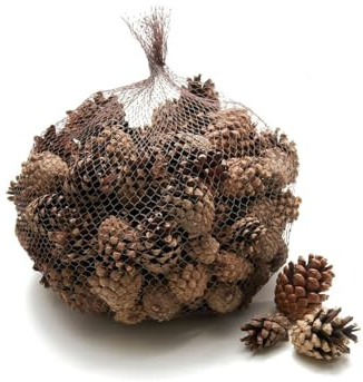 NaDeco Sylvestris-Zapfen, Lieferung im Karton, 1 kg, ca. 150 STK. Waldkiefer-Zapfen Pinus sylvestris Kieferzapfen Tannenzapfen Zapfen-Deko Fichtenzapfen Deko-Zapfen Zapfen zum Basteln