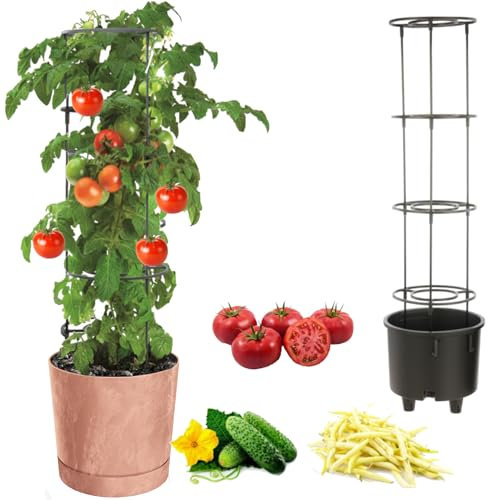 Pot à tomates - Pot pour la culture de plantes grimpantes - Pot à légumes - Diamètre : 30 cm - En plastique - Terre cuite - Avec insert à cadre haut