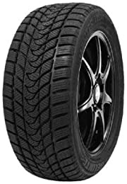 Delinte WD 1 175/65 R14 82T Winterreifen GTAM T262419 ohne Felge
