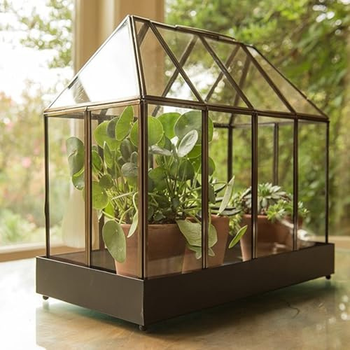 Crocus Collection 43cm Indoor Victorian Style Terrarium Mini Growhouse for Cacti Succulents