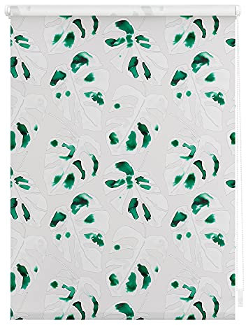 Lichtblick Klemmfix Tageslicht-Rollo mit Motiv, ohne Bohren, Blickdicht, Seitenzugrollo, Made in Germany, Julia Schumacher Monstera - Grün 120 cm x 150 cm (B x L)