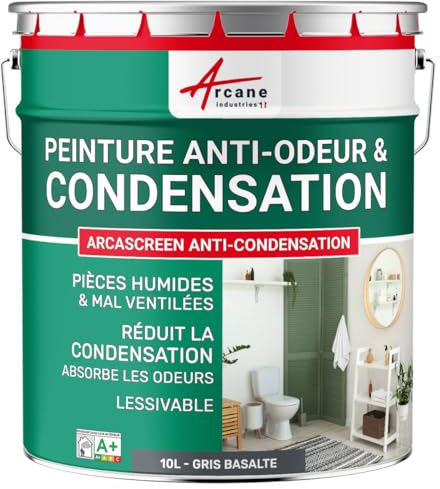 Peinture anti condensation, anti odeur, moisissure - 10 L Gris Basalte - RAL 7012 - ARCANE INDUSTRIES