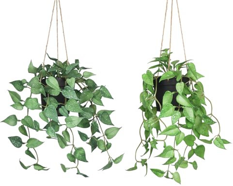Olrla 2 Stück Gefälschte Hängepflanze mit Topf,Kunstpflanzen Hängend Anthracite Leaf für Bücherregale, Schreibtische, Schlafzimmer Badezimmer Außendekoration