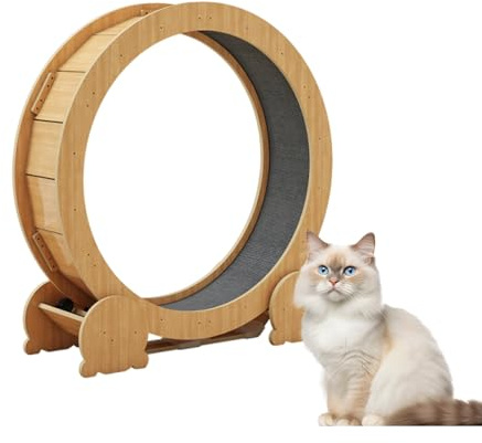 Rueda De Ejercicio para Gatos, Rueda Interactiva para Gatos, Rueda De Gran Diámetro, Cinta De Correr para Gatos para Ejercicio Y Pérdida De Peso(Medium)