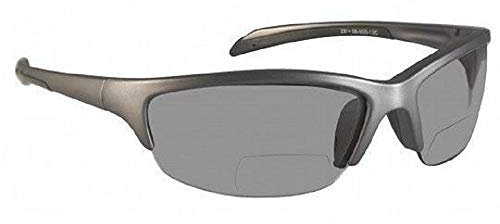 Gafas de seguridad bifocales SB-5000 de entre +1,0 y +3,0 aumentos (1,0, ahumadas)